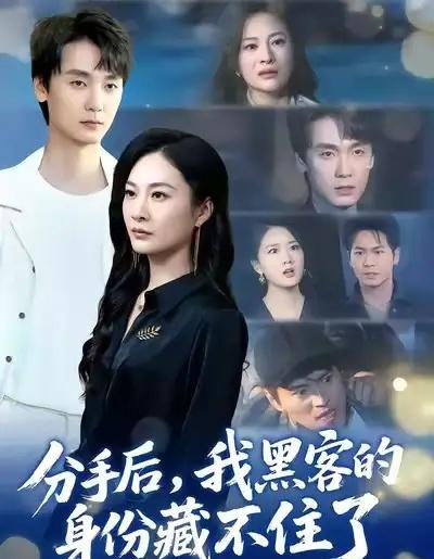 分手后，我黑客的身份藏不住了（80集全）宋雯娟＆唐元盛-搜外项目网