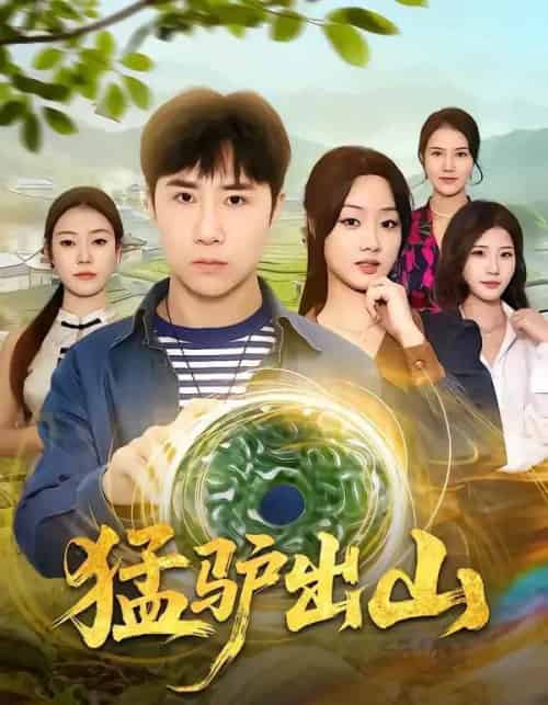 猛驴出山（80集全）侯建楠＆王楚贤-搜外项目网