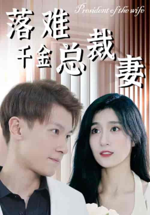 落难千金总裁妻（94集全）霍千山＆南暮雪-搜外项目网