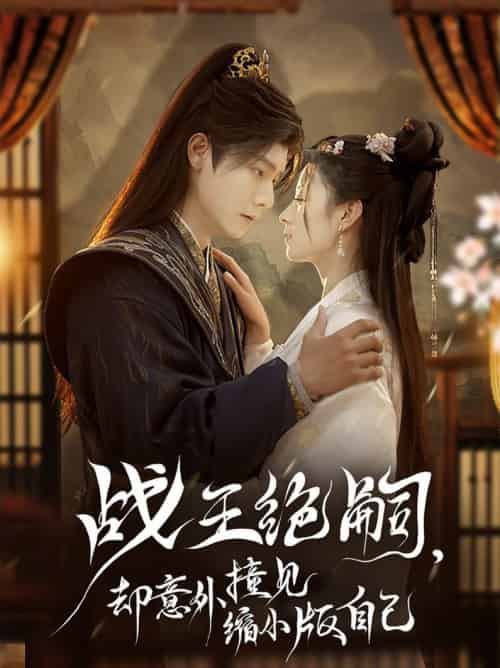 战王绝嗣，却意外撞见缩小版自己（80集全）曾希瑭＆王艺阳-搜外项目网