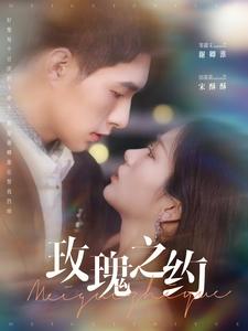 玫瑰之约（95集）邹盛文＆田苗苗-搜外项目网