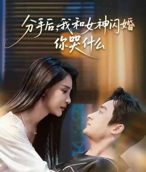 分手后,我和女神闪婚你哭什么&悲欢离合总无情(80集全)王家霖&许子吟-搜外项目网