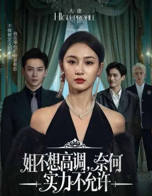 姐不想高调,奈何实力不允许(75集全)魏凡舒&杨寒-搜外项目网