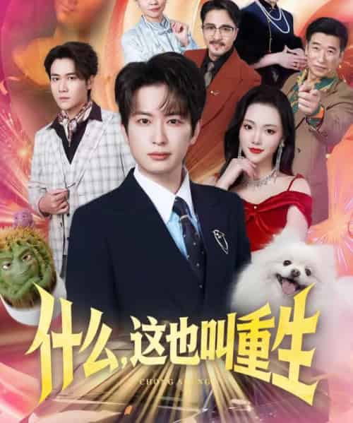 什么,这也叫重生(65集全)程屿燃&刘慧格-搜外项目网
