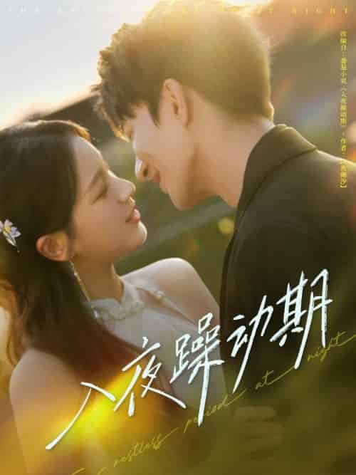 入夜躁动期（80集全）米热＆方思畅-搜外项目网