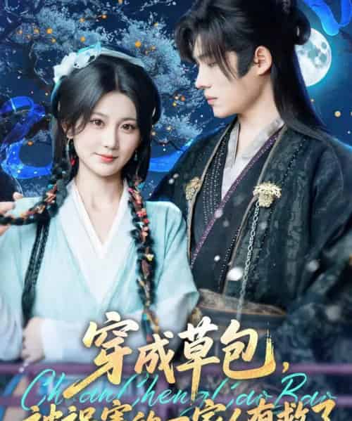 穿成草包,被祸害的一家人有救了(71集)王禹翰&杨珊子-搜外项目网