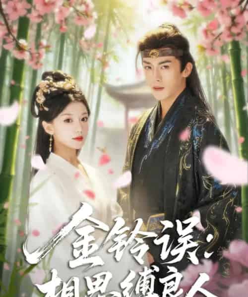 金铃误相思缚良人（85集）卢东旭＆何田田-搜外项目网