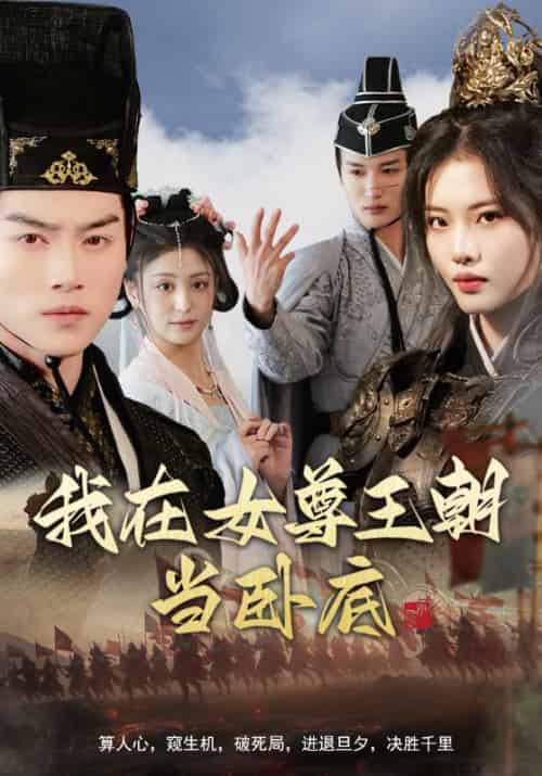 我在女尊王朝当卧底（99集全）都钊＆董洁＆张思琦＆李芊乐-搜外项目网