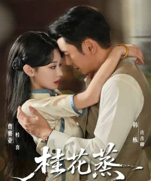 桂花蒸（79集全）韩栋＆曹赛亚-搜外项目网