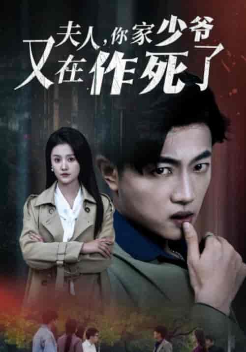 夫人，你家少爷又在作死了（30集全）苏平安＆柳芊芊-搜外项目网