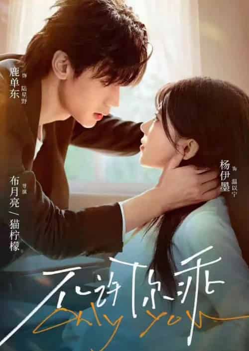 不许你乖（27集全）鹿单东＆杨伊墨-搜外项目网