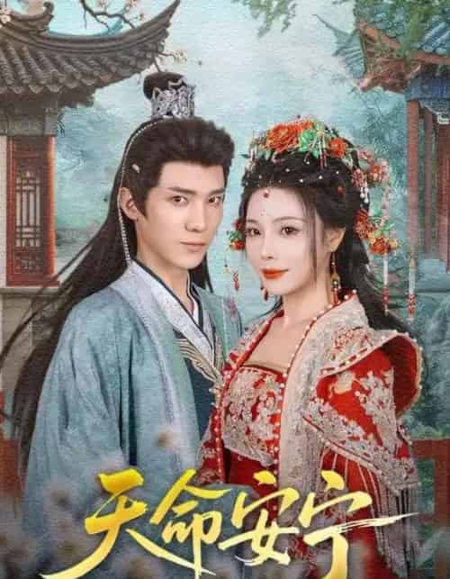 天命安宁（71集全）纪忠庆＆张琴-搜外项目网