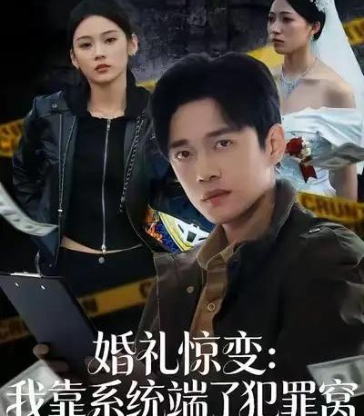 婚礼惊变：我靠系统端了犯罪窝（80集全）郏元栋＆李坤怡-搜外项目网