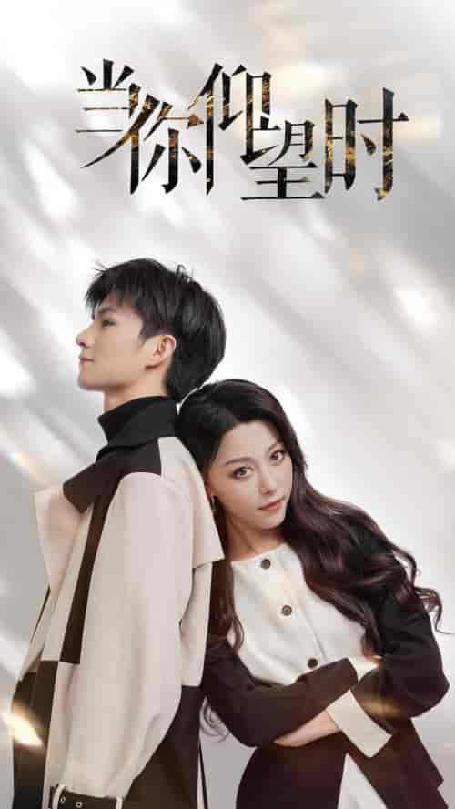 当你仰望时（25集全）刘子豪＆李金金-搜外项目网