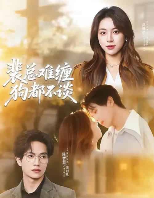 裴总难缠狗都不谈（65集全）陈智慧＆高曼尔-搜外项目网