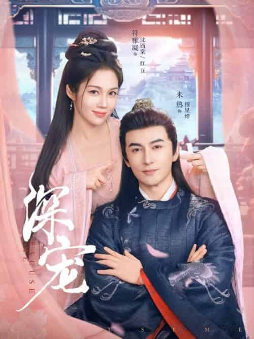 深宠（73集全）米热＆符雅凝-搜外项目网