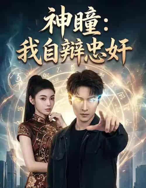 神瞳：我自辩忠奸（48集全）刘国文＆王子茜-搜外项目网