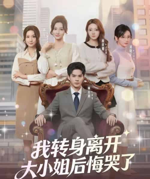 我转身离开，大小姐后悔哭了（70集全）顾有利＆刘晓宇-搜外项目网