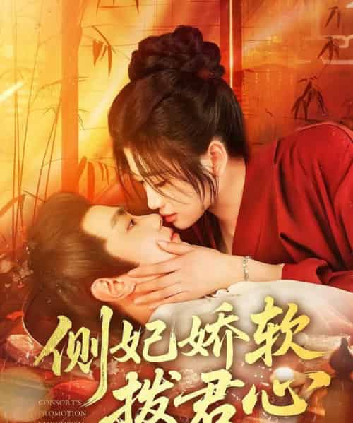 侧妃娇软拨君心（116集）钟政＆宗妍初-搜外项目网