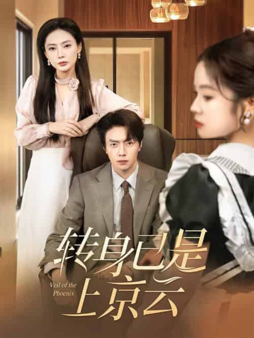 转身已是上京云（88集全）张磊＆陈文君＆袁传琪-搜外项目网