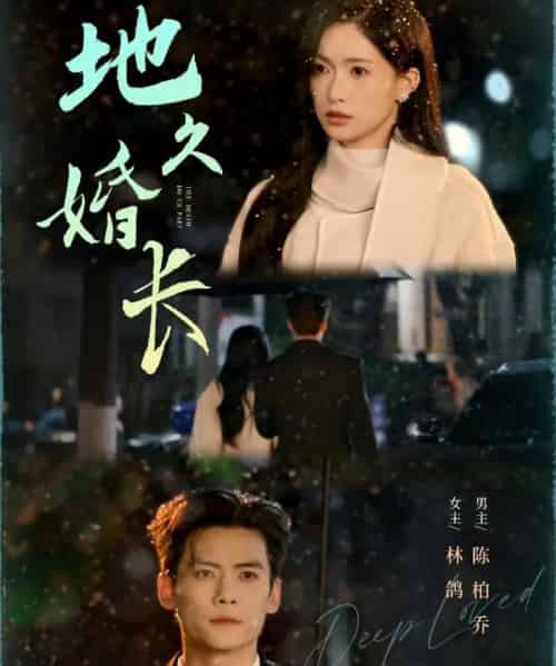 地久婚长（69集全）陈柏乔＆林鸽-搜外项目网