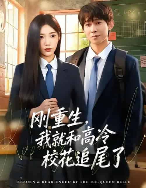 刚重生，我就和高冷校花追尾了（80集全）王广大＆孙珺昂-搜外项目网