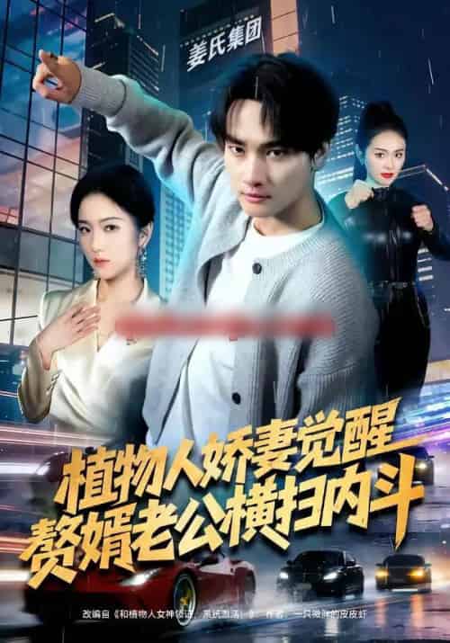 植物人娇妻觉醒，赘婿老公横扫内斗（80集全）刘国文＆薄艾莹-搜外项目网