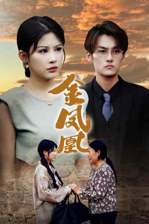 金凤凰(80集)邹漪琳-搜外项目网