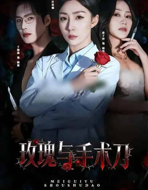 玫瑰与手术刀（59集全）孙同钰＆于颢鑫-搜外项目网