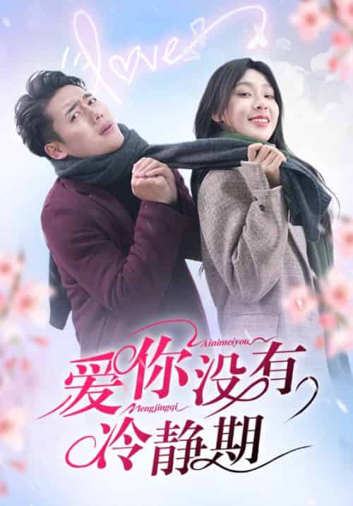 爱你没有冷静期（32集全）韩傲天＆王艺珂-搜外项目网