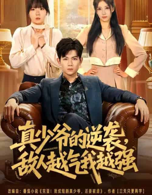 真少爷的逆袭，敌人越气我越强（78集全）孙羽中＆韩思懿-搜外项目网