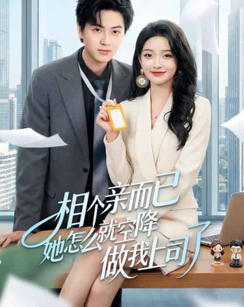 相个亲而已她怎么就空降做我上司了（30集全）罗潜宇＆刘晔-搜外项目网