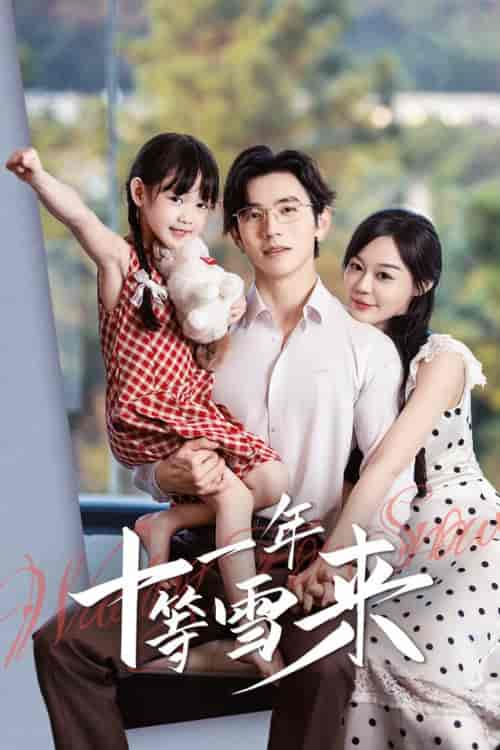 十一年等雪来（50集全）赵冠宇＆蔚琳-搜外项目网