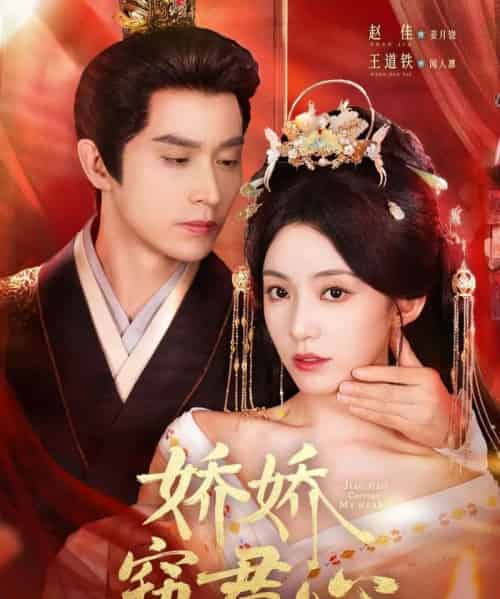 娇娇窃君心（84集）王道铁＆赵佳-搜外项目网