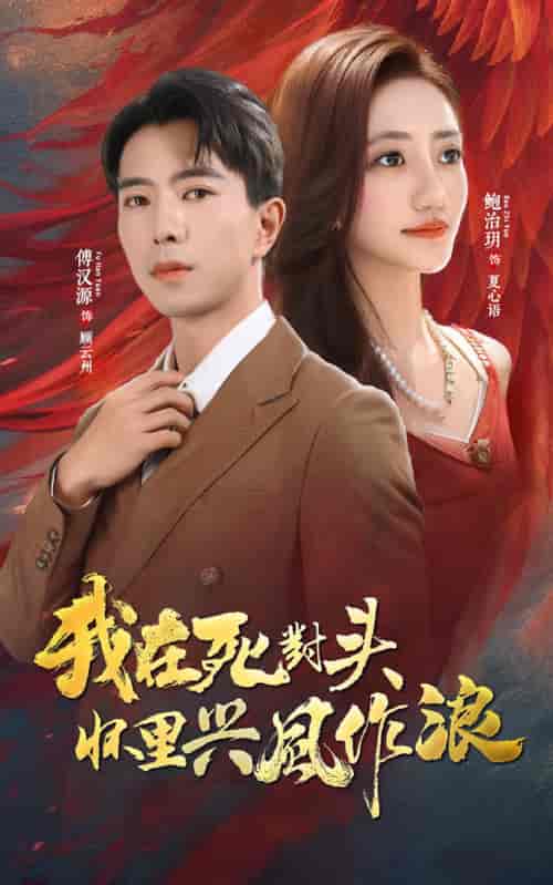 我在死对头怀里兴风作浪(98集)鲍治玥&傅汉源-搜外项目网