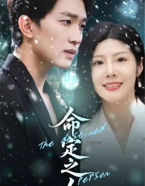 命定之人（56集全）汪天予＆项宇航-搜外项目网