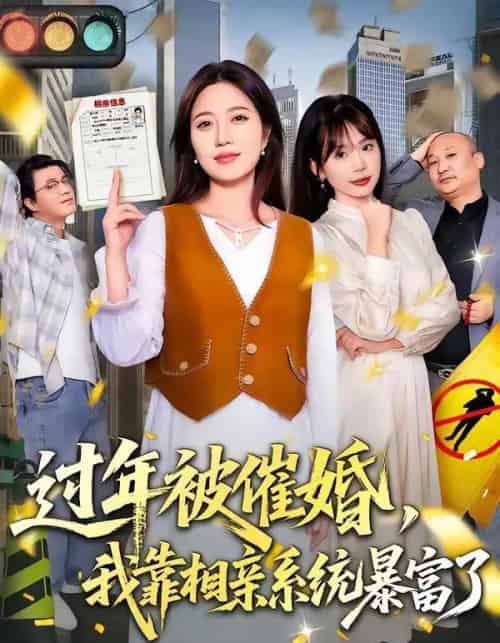 过年被催婚,我靠相亲系统暴富了(82集全)张艺文&王玉玺-搜外项目网