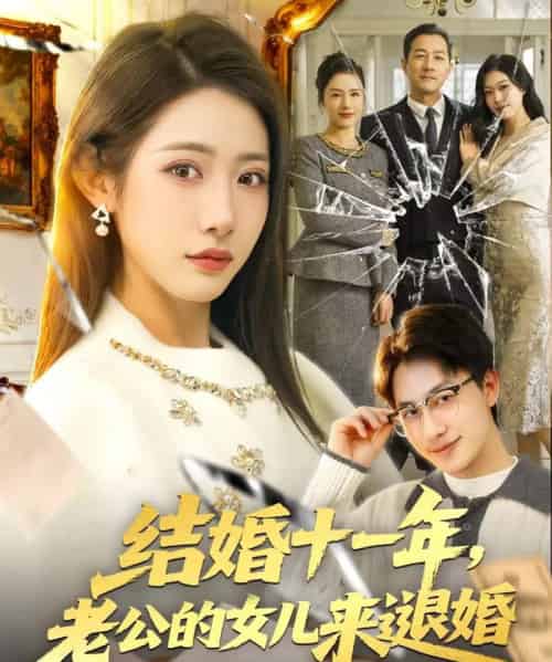 结婚十一年,老公的女儿来退婚(63集全)王斌&张如意-搜外项目网