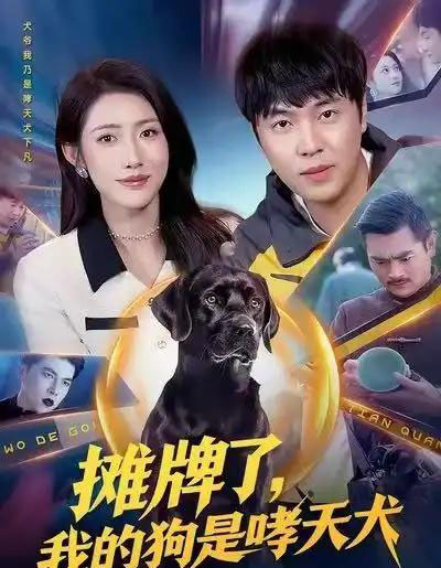 摊牌了,我的狗是哮天犬(98集全)刘晨宇&张如意-搜外项目网