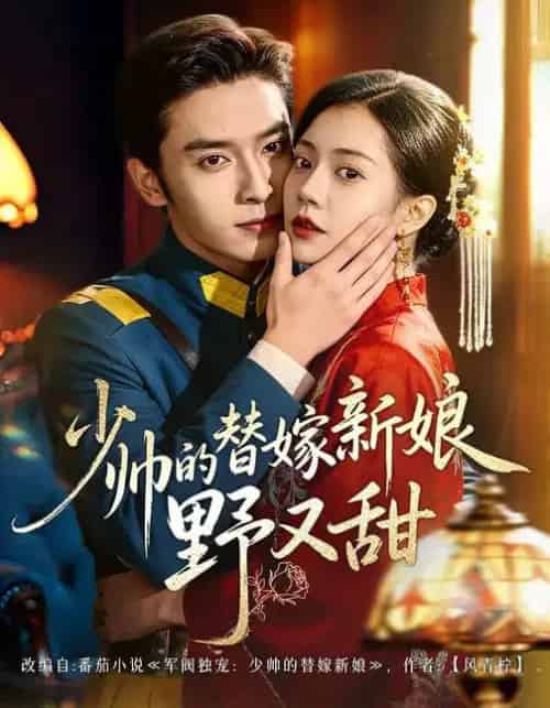 少帅的替嫁新娘野又甜(60集全)王博&孙婉晴-搜外项目网