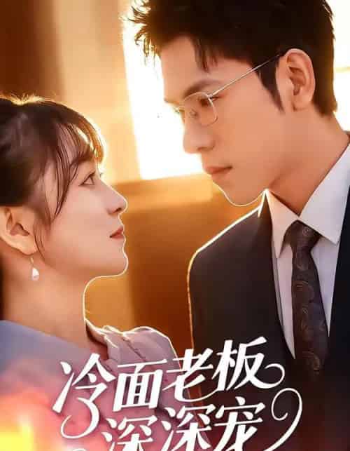 冷面老板深深宠(99集全)杨彦光&林筱艾-搜外项目网