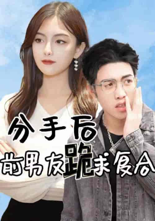 分手后，前男友跪求复合（88集全）沈天宇＆夏婉清-搜外项目网