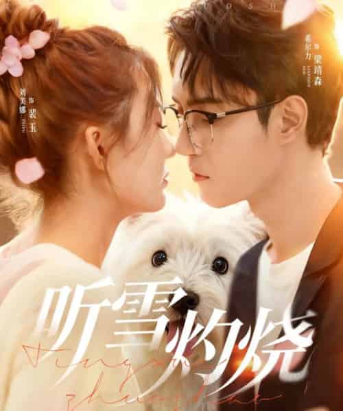 听雪灼烧(68集全)希尔力&刘美娜-搜外项目网