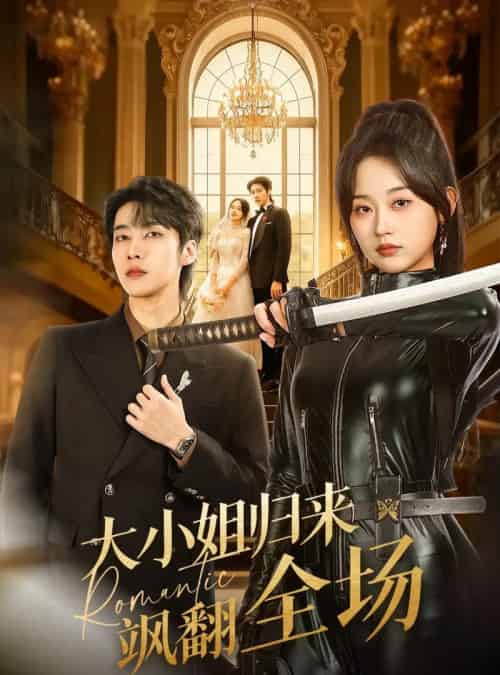 大小姐归来飒翻全场(61集全)张韫韬&刘蓝鸽-搜外项目网