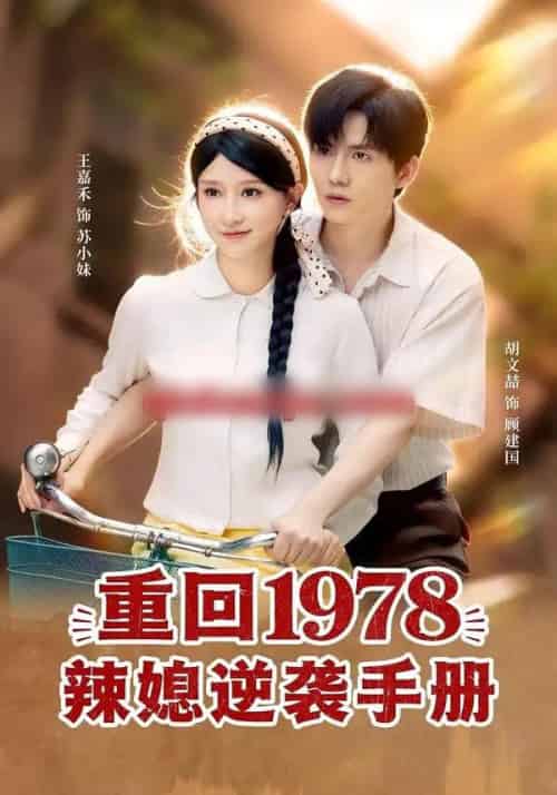 重回1978辣媳逆袭手册（62集全）胡文喆＆王嘉禾-搜外项目网