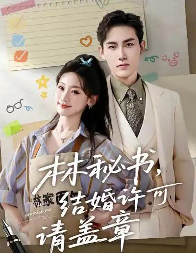 林秘书，结婚许可请盖章（62集全）徐嘉良＆邵依蕊-搜外项目网