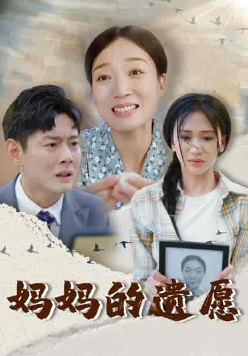 妈妈的遗愿（50集全）柯以-搜外项目网