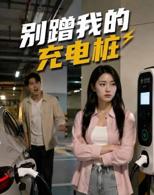 别蹭我的充电桩（35集全）-搜外项目网
