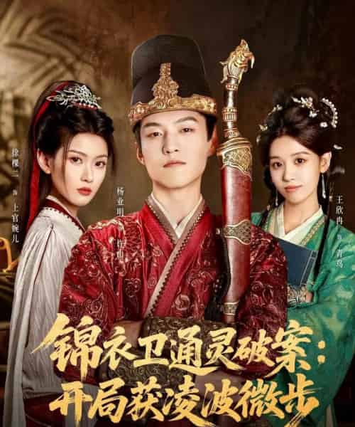 锦衣卫通灵破案开局获凌波微步（81集全）徐棵二＆杨业明-搜外项目网