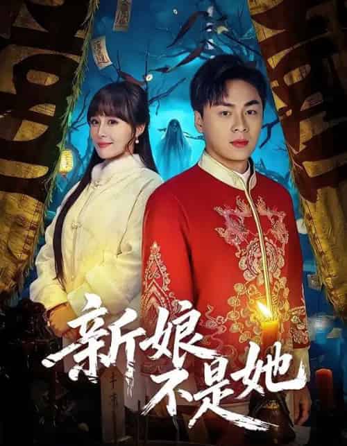 新娘不是她（49集全）赵洪涛＆王茉晗-搜外项目网